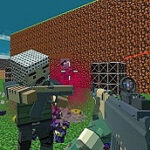 Shooting Blocky Combat Swat GunGame Survival